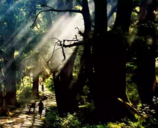 去广元必须去玩的风景,四川广元旅游必去十大景点推荐