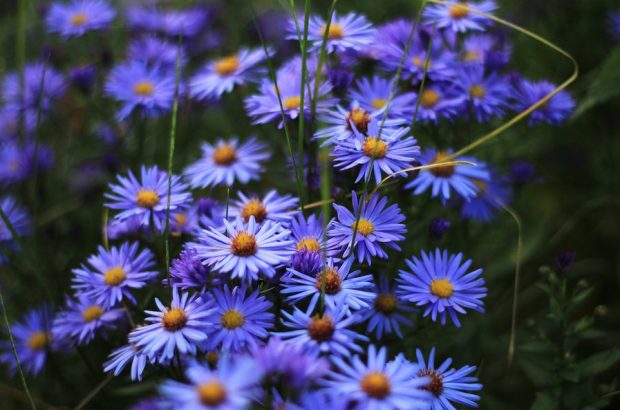 陪你一起慢慢变老,陪你一起慢慢变老完整版