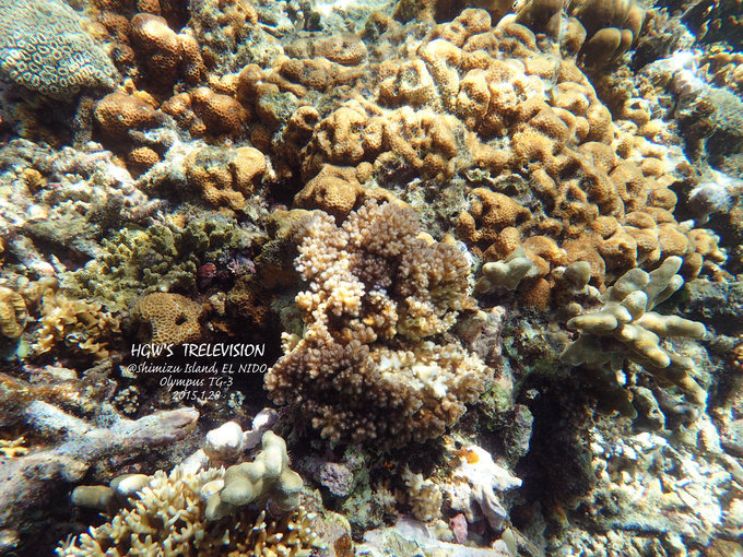 阳光，假日，海滩，带你深度游巴拉望上