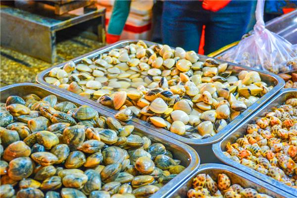 我到过许多地方是指哪里,我去过的地方皆是你看过的风景