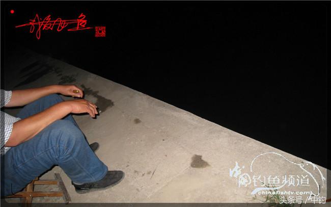 狂拉大板鲫的快乐,狂拉小鲫鱼钓鱼视频