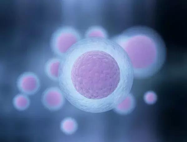 多个卵泡会导致不孕吗,多卵泡医生不建议备孕