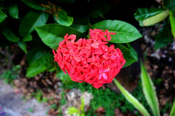 我到过许多地方是指哪里,我去过的地方皆是你看过的风景