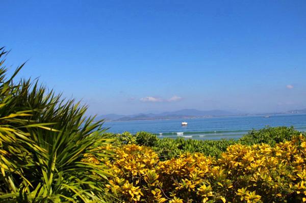 我到过许多地方是指哪里,我去过的地方皆是你看过的风景