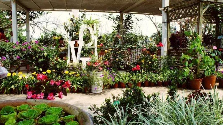 世界第二大薰衣草庄园,亚洲最大的薰衣草庄园