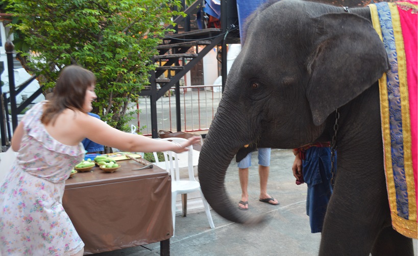 泰国旅游必看表演,去泰国旅游看什么表演节目