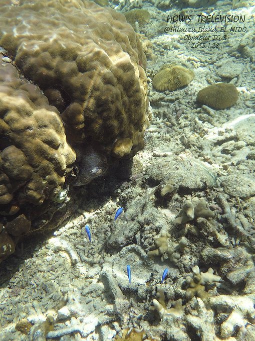 阳光，假日，海滩，带你深度游巴拉望上