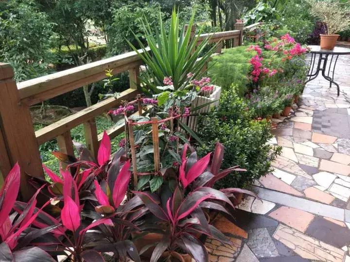 世界第二大薰衣草庄园,亚洲最大的薰衣草庄园