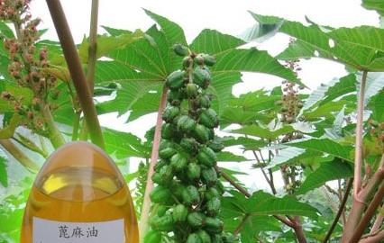 怀孕后如何消除妊娠纹:12个有效方法任你选