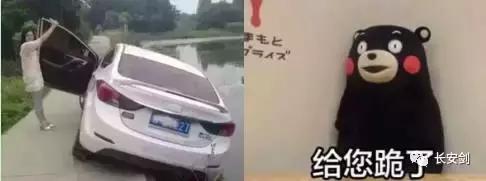 三分钟法治新闻100条,法治三分钟知天下