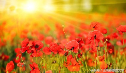 用微笑走出自己的路,用微笑征服一切