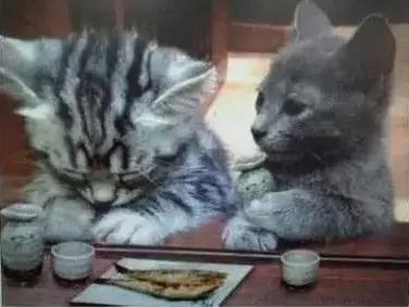 石家庄高中放假时间2022寒假通知,石家庄高校寒假放假最新通告