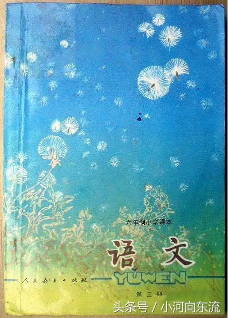 20年前的课本满满的回忆,20年前的语文课本有哪些课文