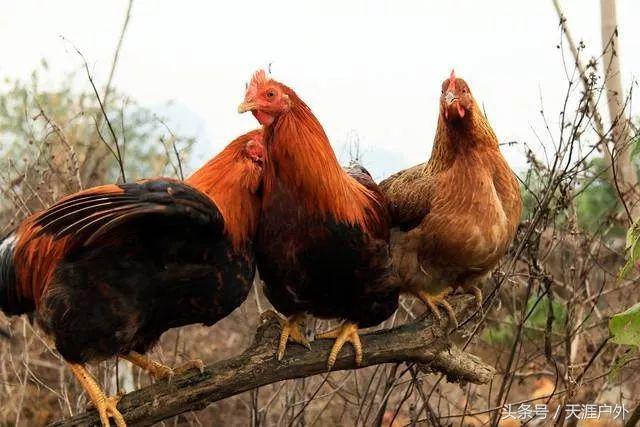 广东小桂林之称的风景胜地,号称小桂林的地方