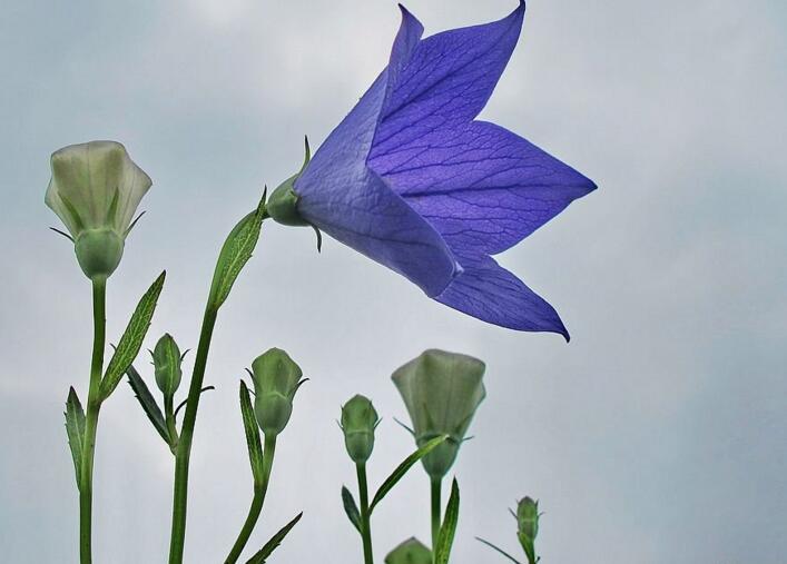 想晋升一把手说了算,问领导想晋升还需要哪些努力