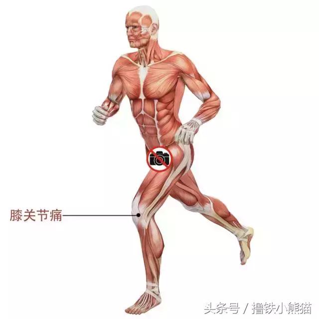 腿粗又有膝超伸该怎么改正,膝超伸为什么腿会粗