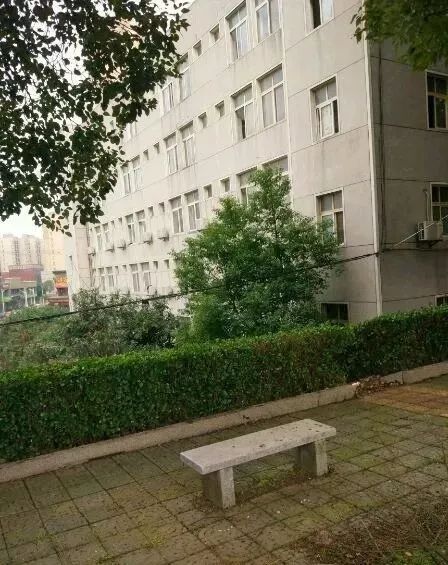 匆匆那年怀念学校,匆匆那年校园回忆