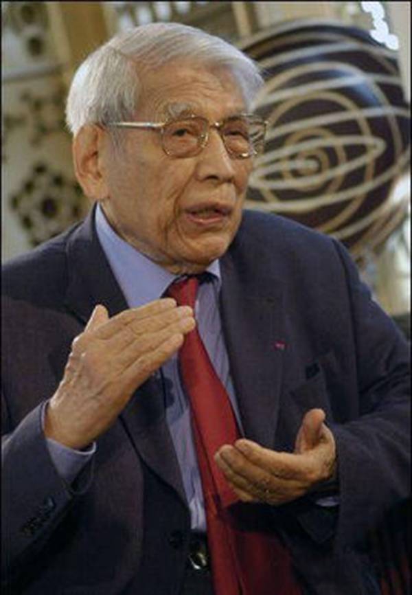 每日花语红山茶,每日花语桔梗花