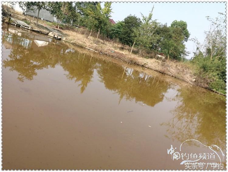 国庆节的来历,国庆头像