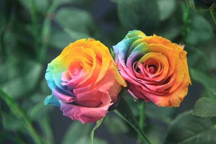 15个冷知识是什么,这15个心理学冷知识91%的人不知道