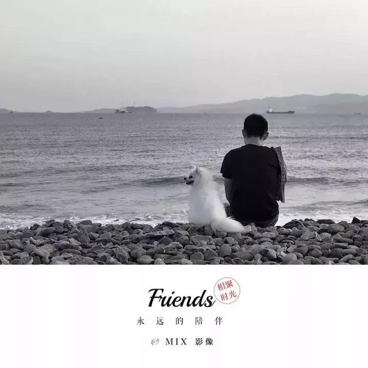 手机拍照拍不出你们的美感,拍照不好看是手机的问题