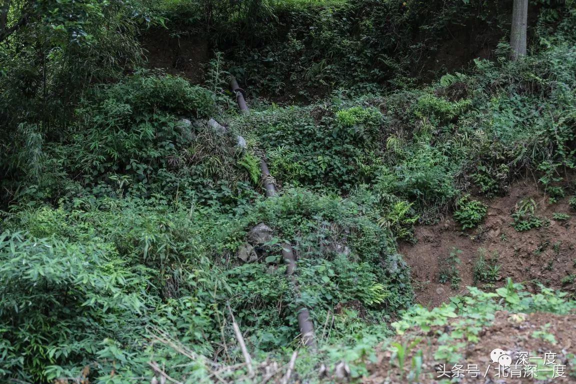 鹿晗泥坑,鹿晗在泥坑里