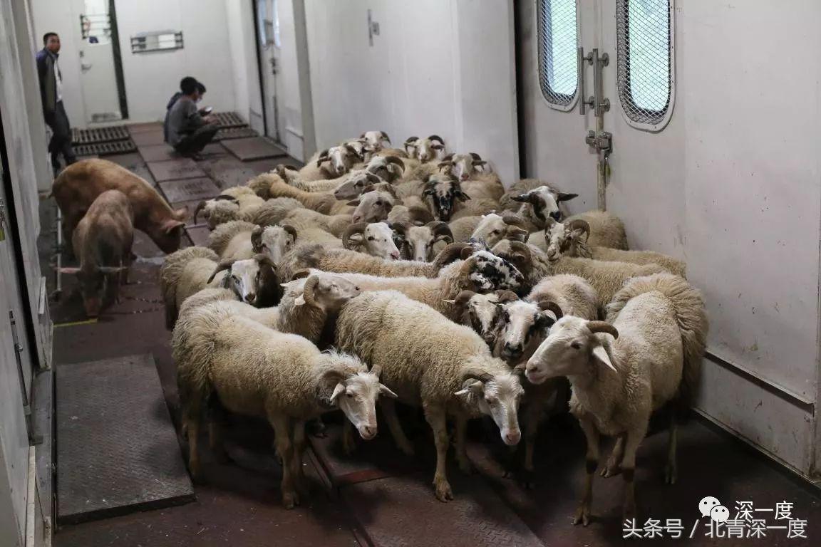 “鹿晗”在泥坑，妈妈在远方，你习以为常的幸福对他们却遥不可及