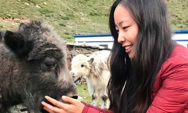 北大元培学院毕业生现状,北京大学元培学院录取的学生