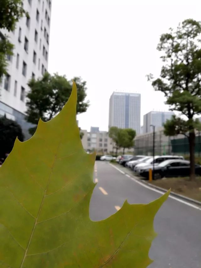 360手机和华为畅玩7x哪个更好,荣耀畅玩7x像素多少合适