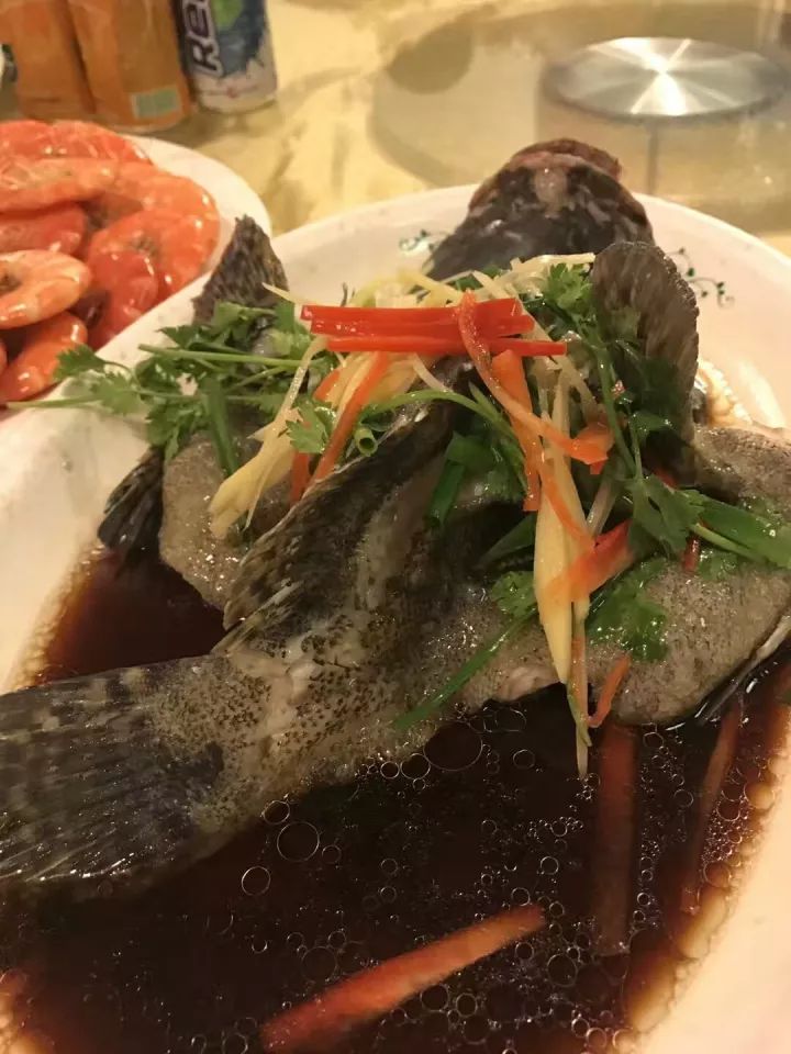 大连包机飞三亚,大连包机直飞