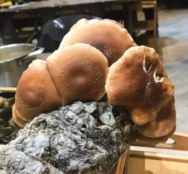 大连有一家特别的火锅店,大连适合去吃的平价火锅店