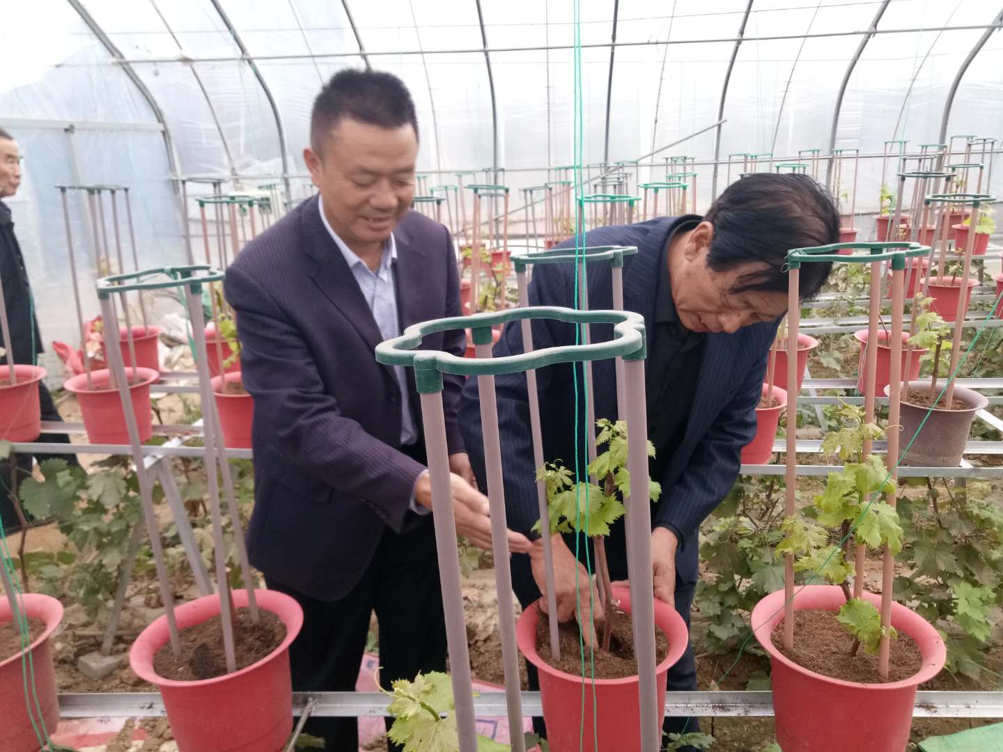 乡镇脱贫攻坚和乡村振兴工作谋划,河南省脱贫攻坚乡村振兴