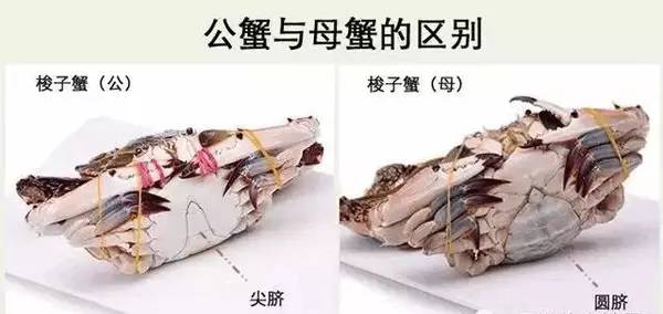 市场海鲜怎么买,挑选新鲜海鲜的正确方法