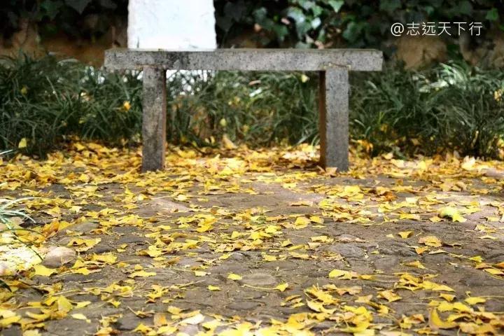 最美高校合集,最美211云大