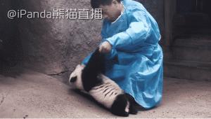 成都附近动物城,成都周边动物乐园