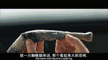 密集恐惧症慎点完整版,密集恐惧症