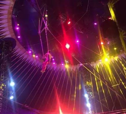 成都附近动物城,成都周边动物乐园