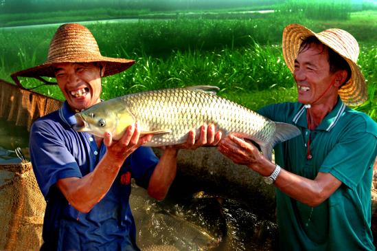 对话王立群完整版,对话王立群