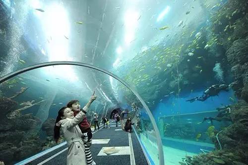 成都附近动物城,成都周边动物乐园