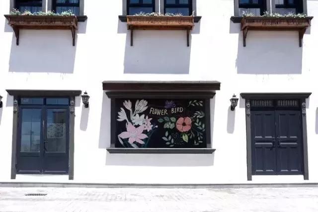 花鸟岛海岛游,花鸟岛海岛旅游