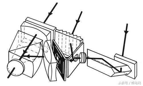 蜂辞典最新视频,蜂辞典摄影效果