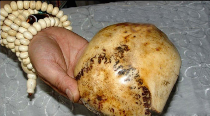 旅行纪念品可以带回家吗,旅游纪念品不能带回