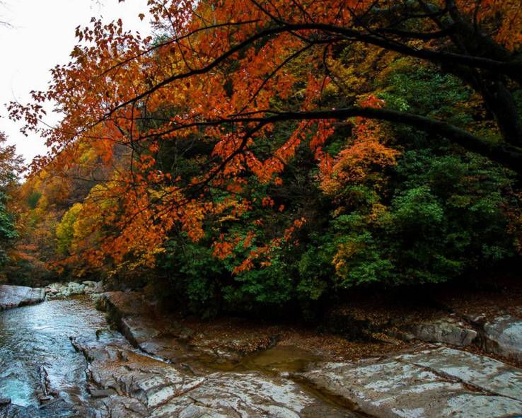 怀念当年风采的古诗词,怀念过往时光的古诗词