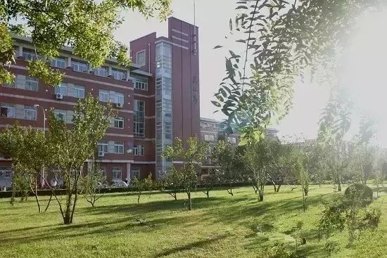 南开大学的优势与缺点,南开大学越来越不好了吗