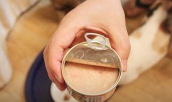 怎样才能让猫咪爱吃鱼,猫咪为什么要吃鱼