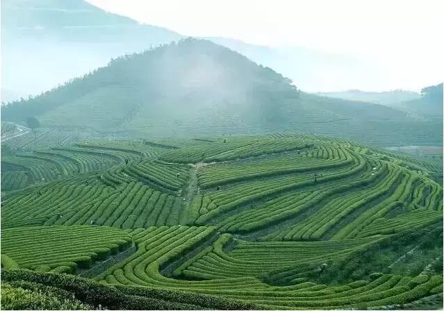 英德奇洞温泉住宿一晚价格,清远溶洞温泉度假村