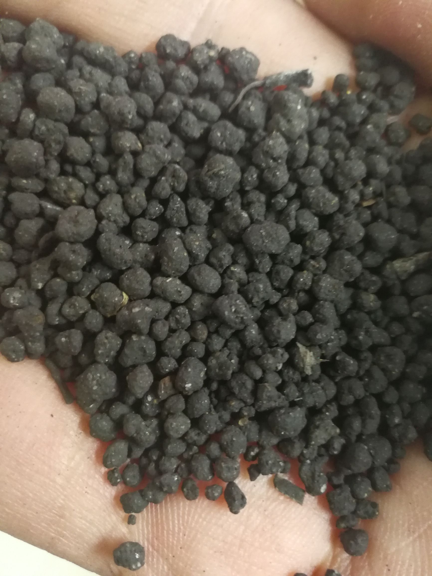 水草缸可以养龙鱼吗,震撼草缸