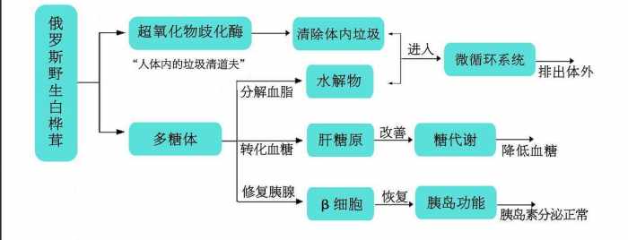 桦褐孔菌有抗癌的作用吗,桦褐孔菌的功效与作用食用方法