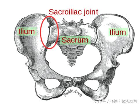 姿态训练中有哪些方法和技巧,姿态训练动作