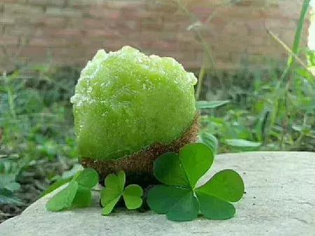 大农业今天行情,大农圈新闻